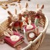 1683 Развивающая игрушка Rabbit Karo