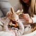 1685 Игрушка-обнимашка Rabbit Karo