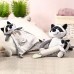 Обнимашка для младенцев RACOON ROCKY